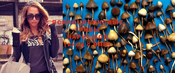 прущие крисы Алзамай