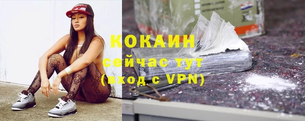 прущие крисы Алзамай