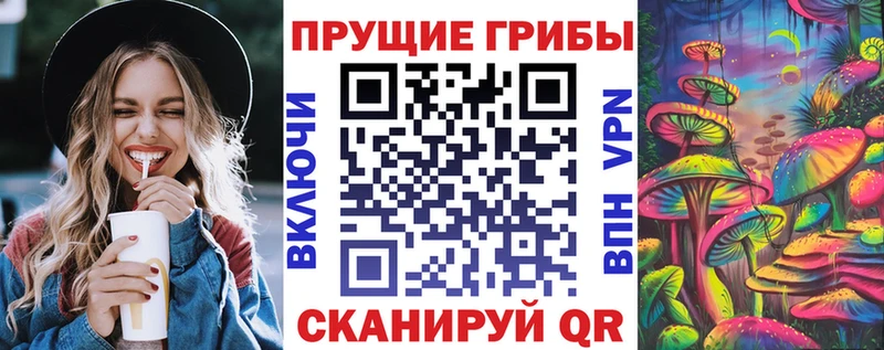 Псилоцибиновые грибы прущие грибы  hydra ТОР  Салехард 
